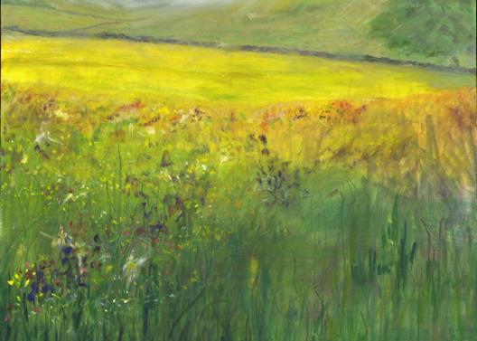 Nethergill Hay Meadow