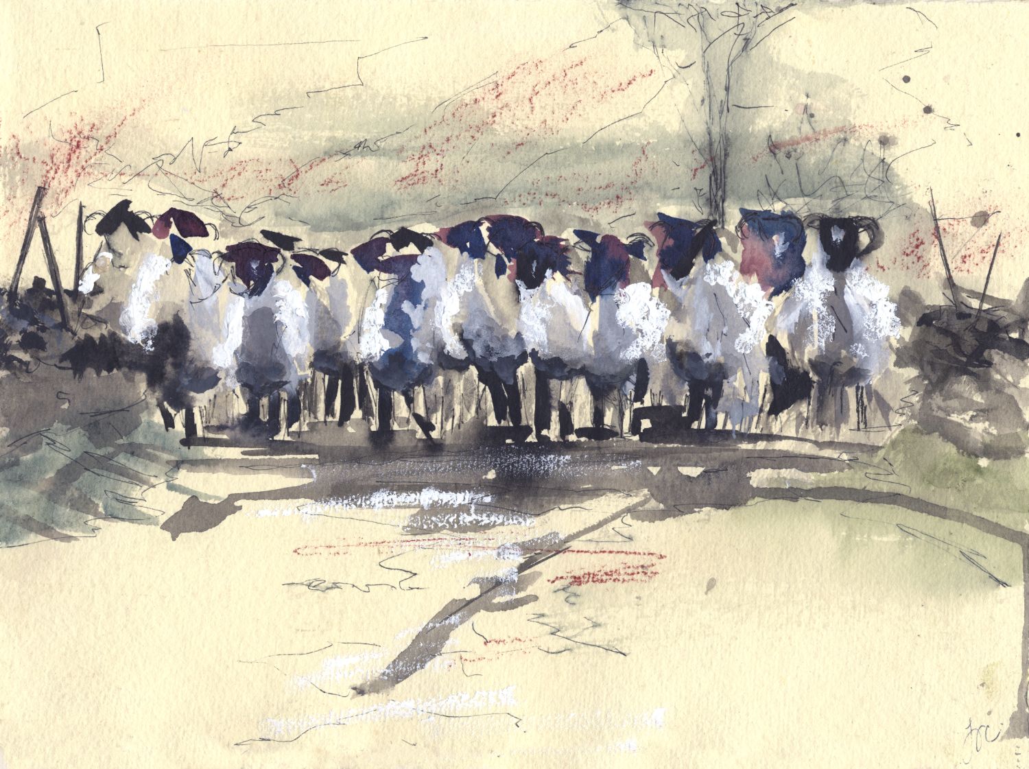 Gathering Ewes in Langstrothdale