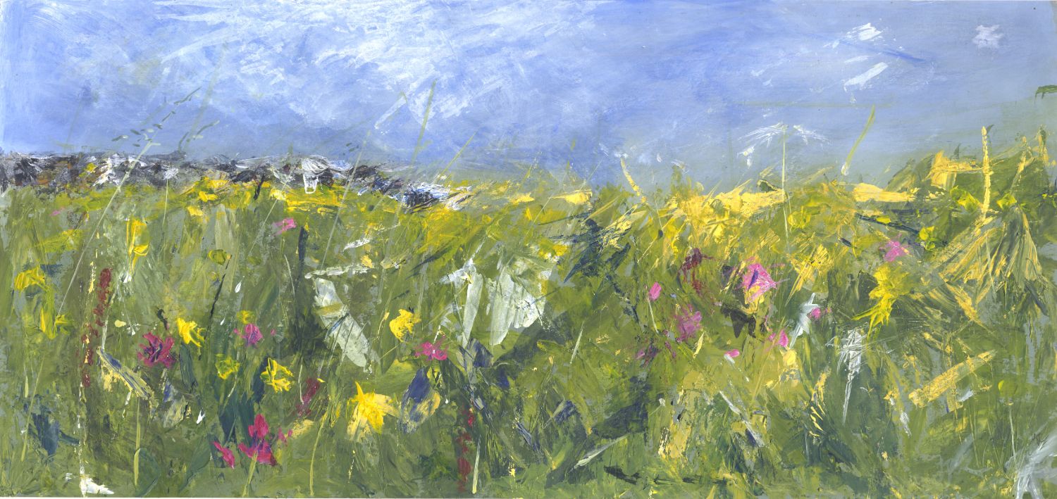 Hay Meadow in mid Summer