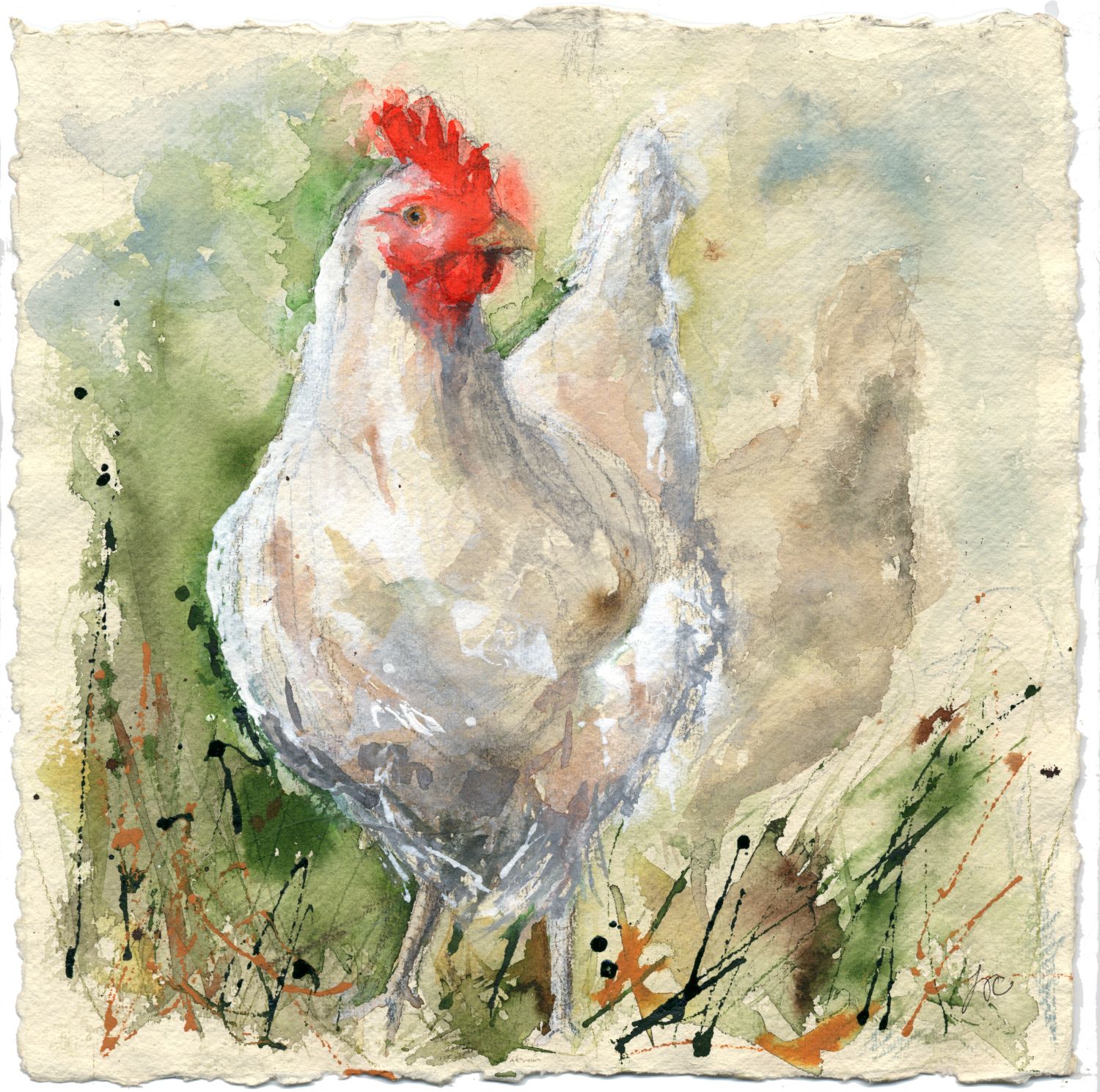 White Leghorn chicken