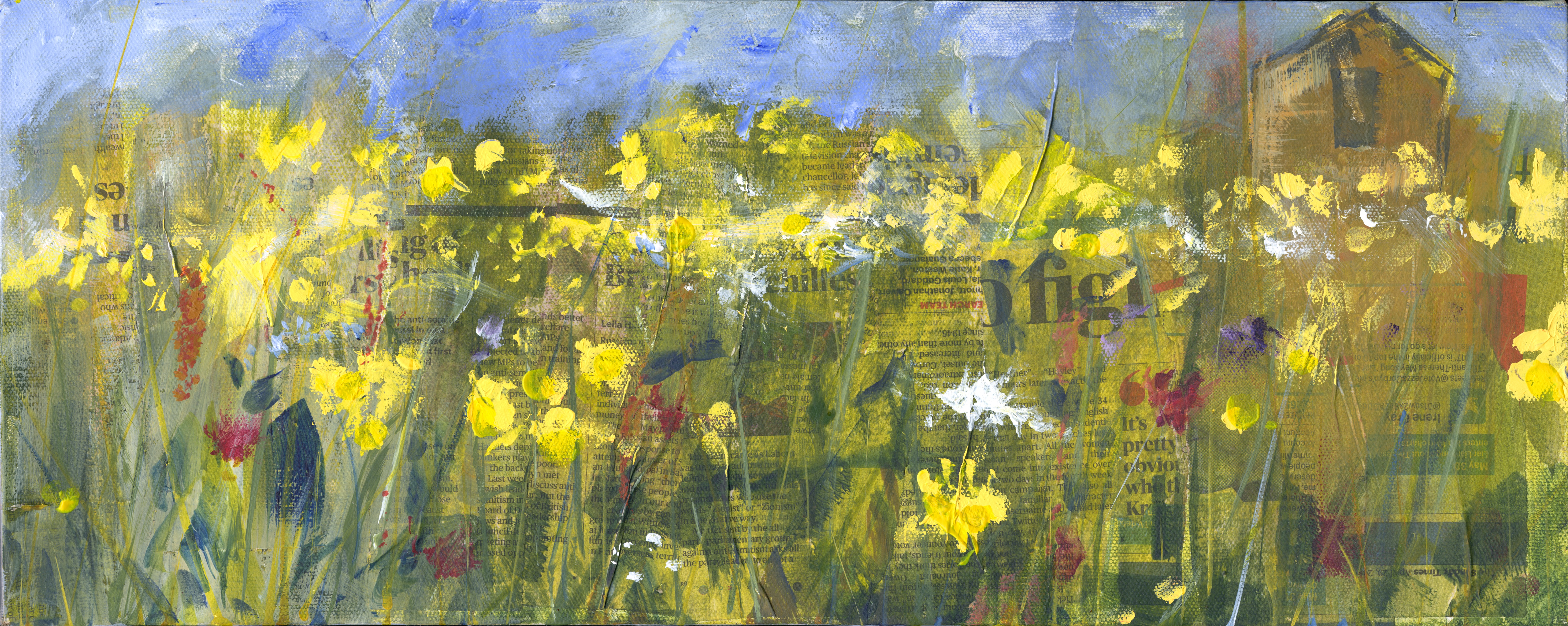 Hay Meadow and Field Barn